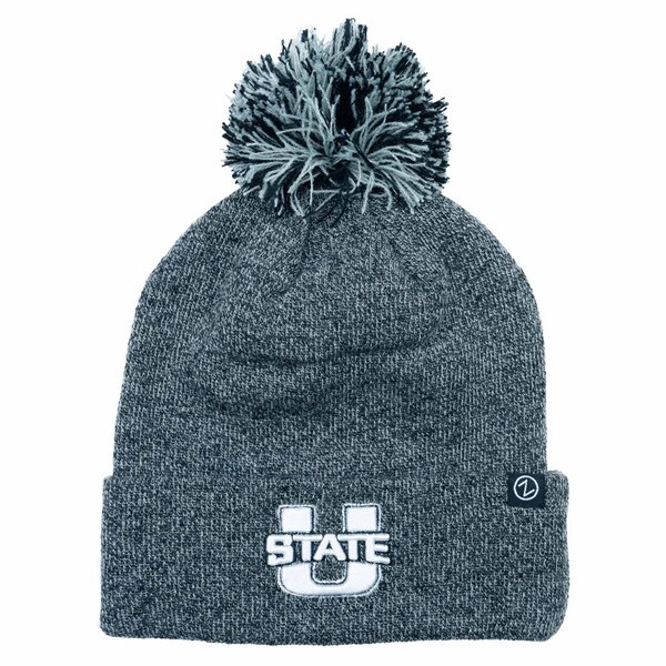 Heather Gray Cuffed Pom-pom Beanie